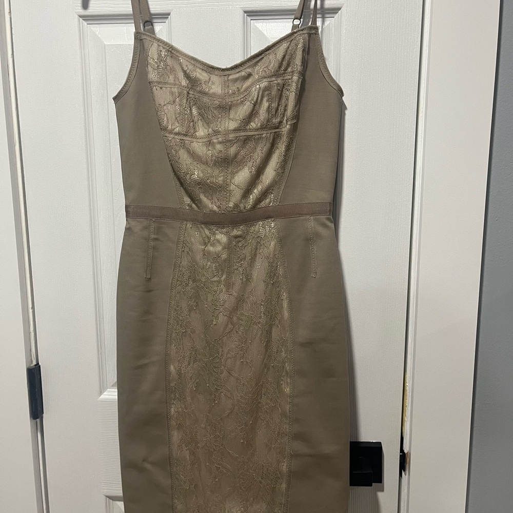 Elegant Tan Lace Dress